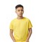 Gildan® Softstyle Youth Crewneck Short Sleeve T-Shirt for School, Everyday Wear & Custom Printing